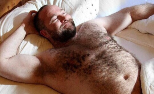 BACKFUR - Hairy/bear/horny/daddy