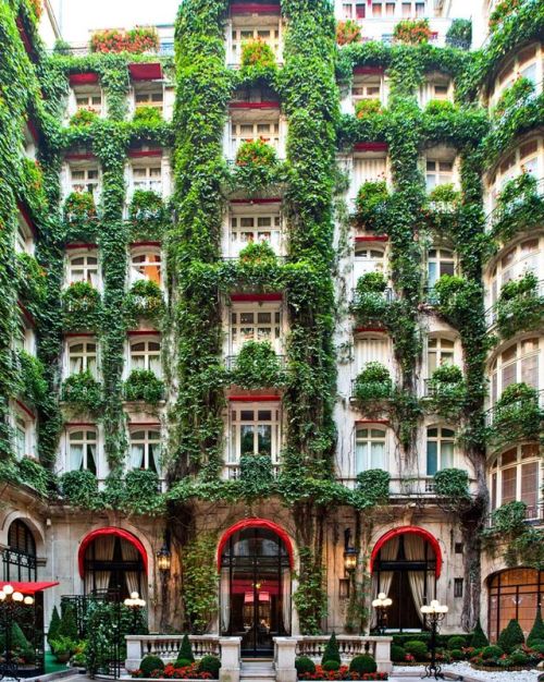 Hotel Plaza Athenee Inst @oysterhotels