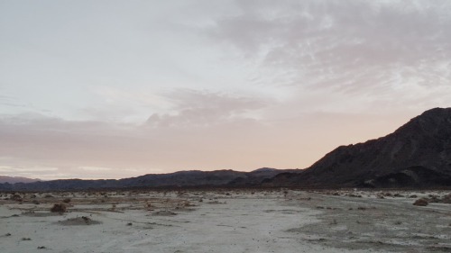hum-together:  Last weekend in the desert
