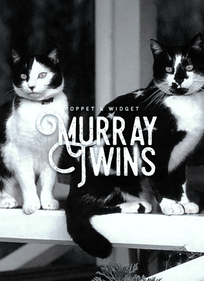 andrewneils:m for murray twins » chosen by @tinanewt↳ you may tell a tale that takes up residence in