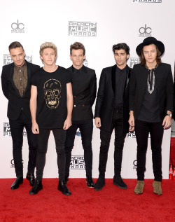 direct-news: 2014 American Music Awards - Arrivals