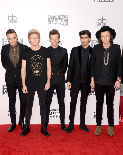 Sex direct-news: 2014 American Music Awards - pictures