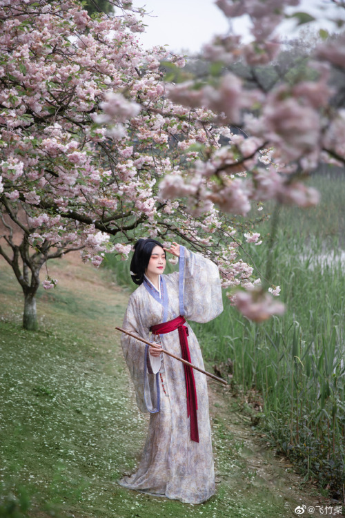 chinese hanfu in tang dynasty style by 竹里馆汉服