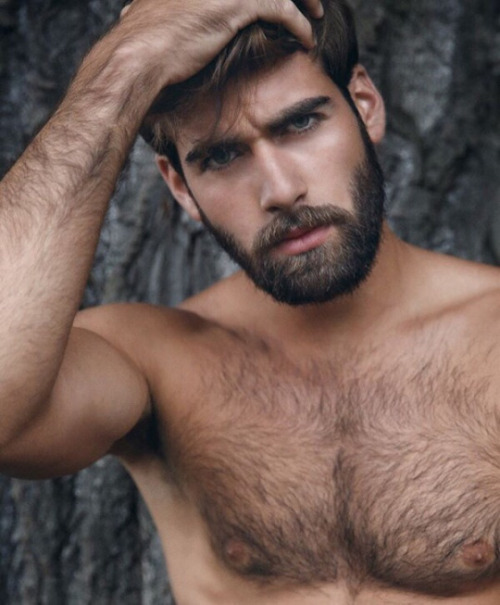 Random Studliness