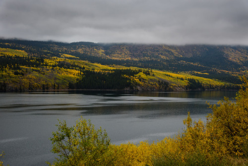 daskibum:White Pass Alaska/British Columbia.  This is pretty much my fall color shooting this y