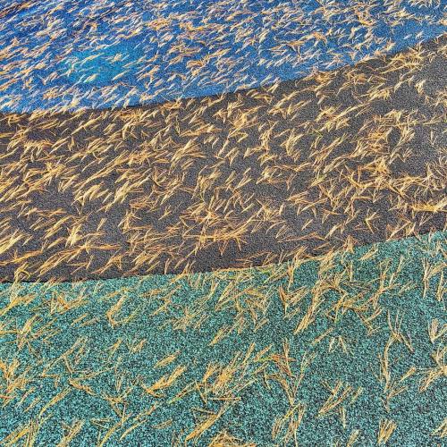 Pine Needles On The Playground. #pineneedles #playground #abstractart #abstract #blue #black #green #nomad