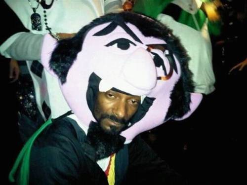 blondebrainpower: Snoop Dogg as The Count