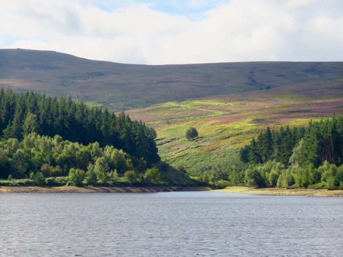Looking Over Langsett Reservoir Onto The Moors.