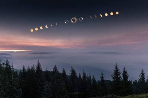 plasticperfectiion:  This is by far the most amazing photo from the eclipse that I’ve seen