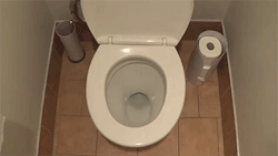 sizvideos:  Why every public bathroom is