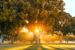 ravivora:  california light by Ravi Vora