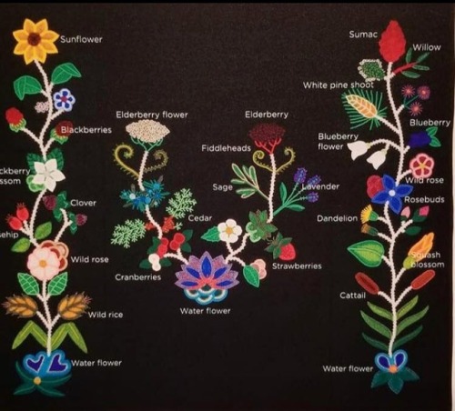 Ojibwe beadwork of important native plants by Jessica GokeyVideo interview with the artist