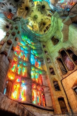 daliniena:  Sagrada familia, Barcelona 