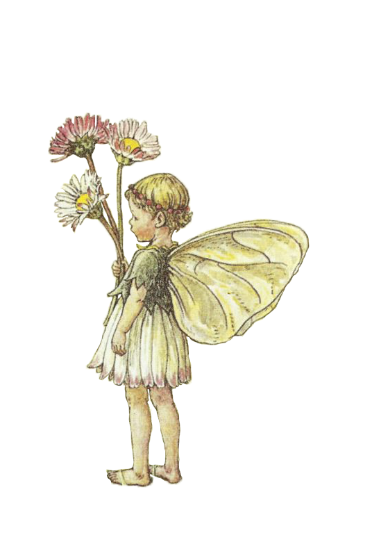 I Just Go Here on Tumblr: Here's a few fairy pngs I made from Cicely Mary  Barker's artwork. Feel free to use them!