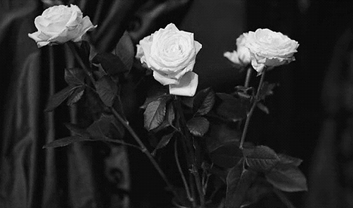 szendibogi.tumblr.com/post/88580592333/