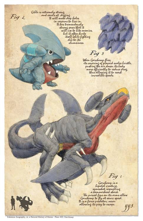 Pokemon Zoography Posters made by BogelbearArt 