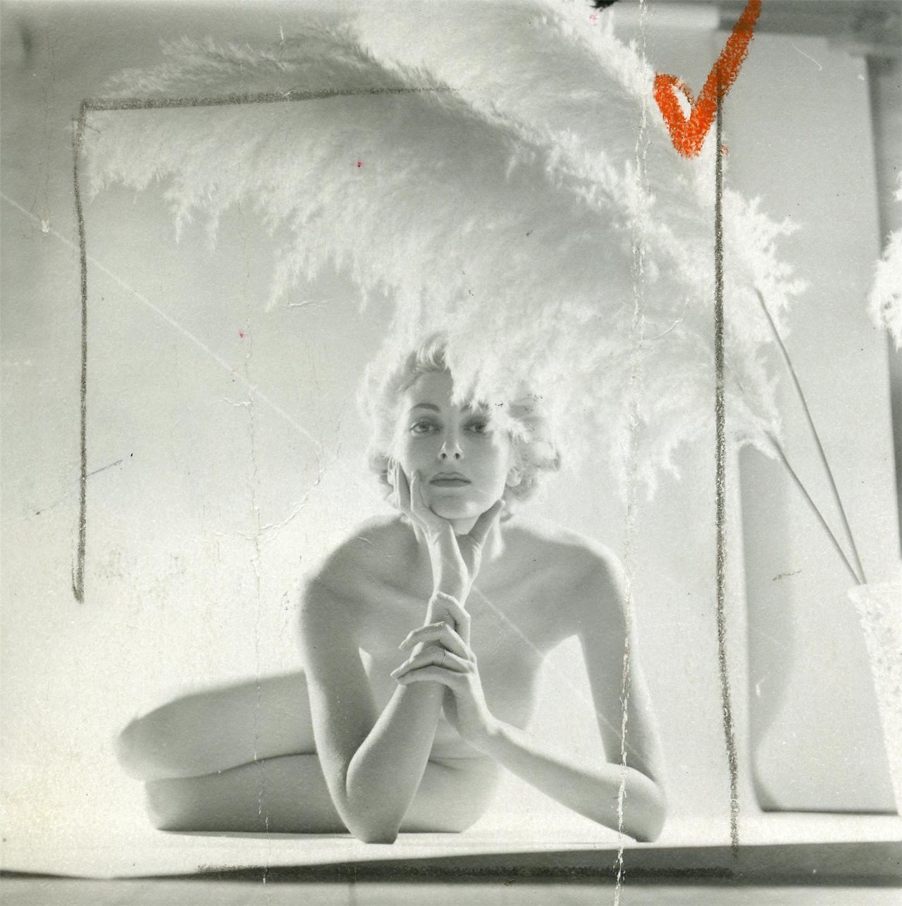grandma-did:  Carmen Dell’Orifice, probably by Peter Basch 