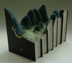 f-l-e-u-r-d-e-l-y-s:   book sculptures by guylaramee  Montreal artist Guy Laramee has created intricate and detailed sculptures from old novels.  The artist says the erosion of cultures has always been a main theme in his work. His book sculptures in