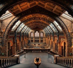 magic-of-eternity:    Natural History Museum. London. England  