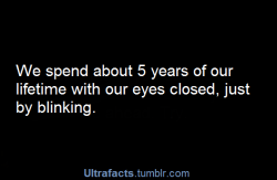 bittie752:  ultrafacts:  Source See more facts Here   Not David Tennant. He keeps one eye open at all times.