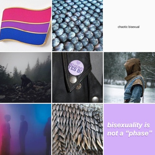 Requested by anon“bisexual Skyrim/dragon mood board”