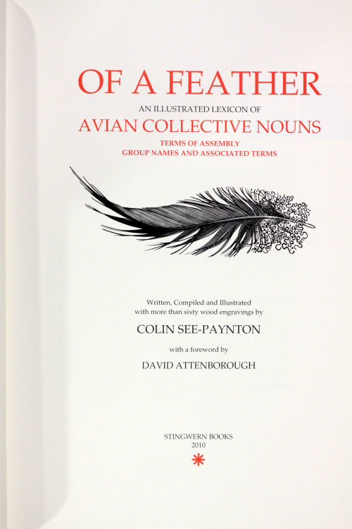 michaelmoonsbookshop:Of A Feather an illustrated lexicon of Avian Collective Nounsterms of assembly 