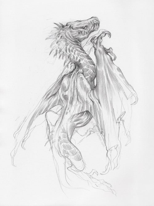 artintheart:  Been also drawing some dragons… Deciding if I like pencil or charcoal better&he