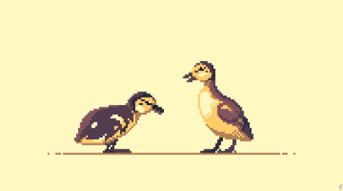 some lil duckling doodles