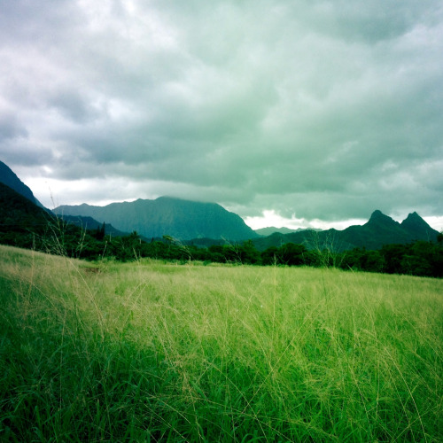 sandless:  East side Oahu.