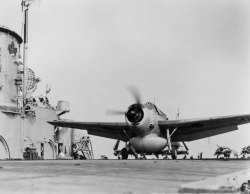 bmashy:  Grumman TBM-3W Avenger takes off