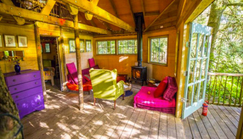 treehauslove:Sunrise Treehouse. A two-bedroom treehouse with all hand crafted furniture and stained 