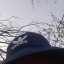mardon