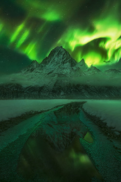 mstrkrftz:  Dance of the Night by Marc Adamus