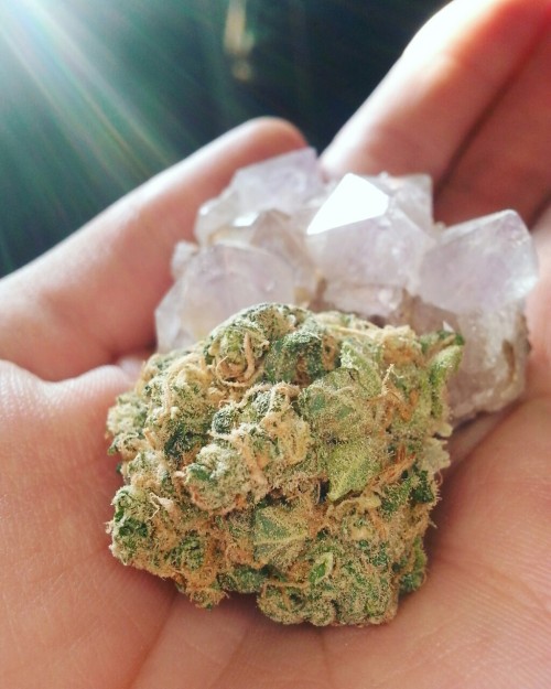 smoketogethighcustheworldissolow: