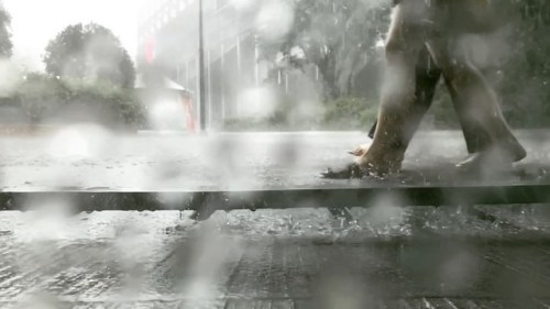 #rain #heavyrain #walk #water #reverse #raindrops #비 #폭우 https://www.instagram.com/p/BzDzBnSlRqK/?i