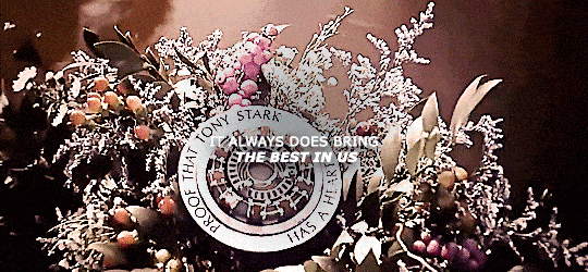 Happy Birthday, Anthony Edward Stark. I Love You 3000.
