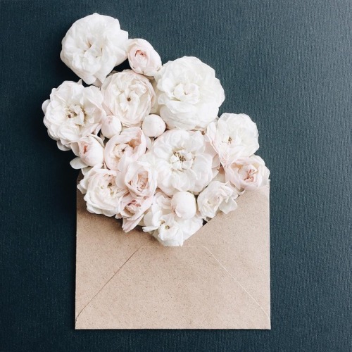 bedenehapsedilenruhlar: Instagram: @artwoonz Twitter: @artwoonz_ ngsbahis  new way to send flowers&a