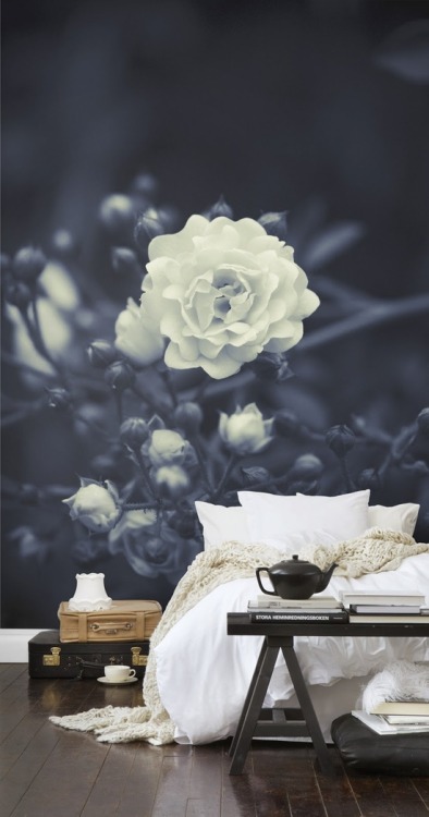 firsthome:wall mural