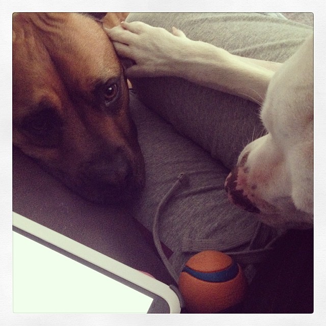 I think they’re trying to tell me something about that ball Vern keeps tossing into my lap…