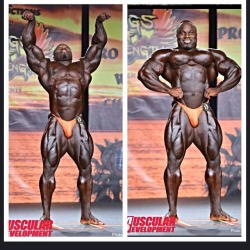 Akim Williams - Third place at the 2015 Tampa Pro