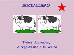 Los distintos estilos de gobierno explicados con vacas.