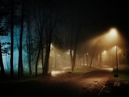 Night roads#lithuania #nature #park #forest #trees #light #street #streetlight #colors #vingioparkas