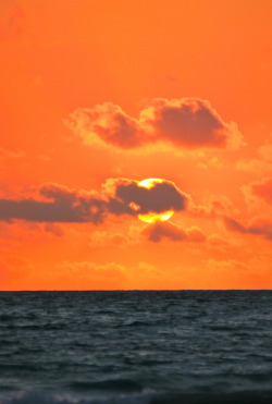 anotic:  Cable Beach — Broome, Australia