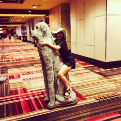 meanwhileinvegas:  I LOVE DOGS!!!! by coco_lynch http://ift.tt/1Ct1G5Z  I’m leaving this one alone.