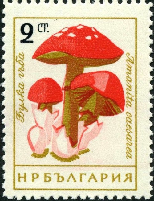 stamp-it-to-me:two 1961 Bulgarian stamps from a series on mushrooms