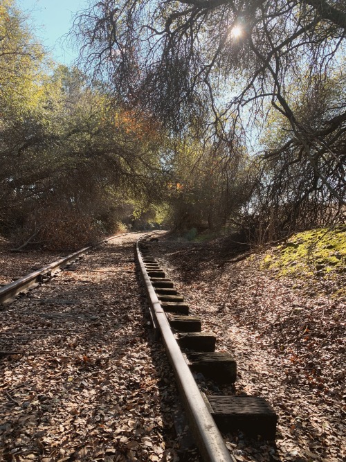 On the east of El Dorado County is an old railroad that makes up most of the El Dorado Trail that ru