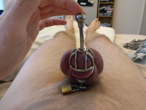 Chastity cages with urethral sound are the best. It’s like being permanently and deeply fucked