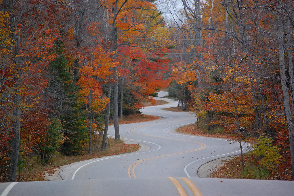 nubbsgalore:  the long and winding road. and by winding, i mean literally the world’s