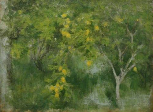 The Lemon Tree - Henry Scott Tuke 1893A Corfu Garden Study - Henry Scott Tuke ca. 1892Impressionism