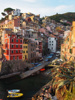 Travelingcolors:riomaggiore Of Cinque Terre | Italy (By Emilyinitaly.tumblr.com)